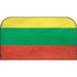 Lithuania Flag Distressed Nintendo Switch 2 (2025) with Joy-Con Skin